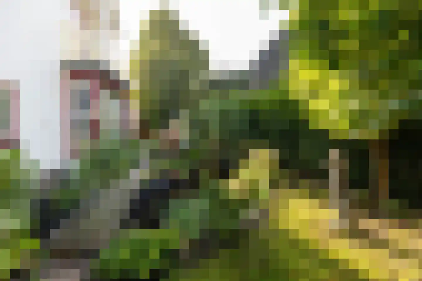 Dr. Lovinklaan 32 Alphen aan den Rijn thumbnail 42