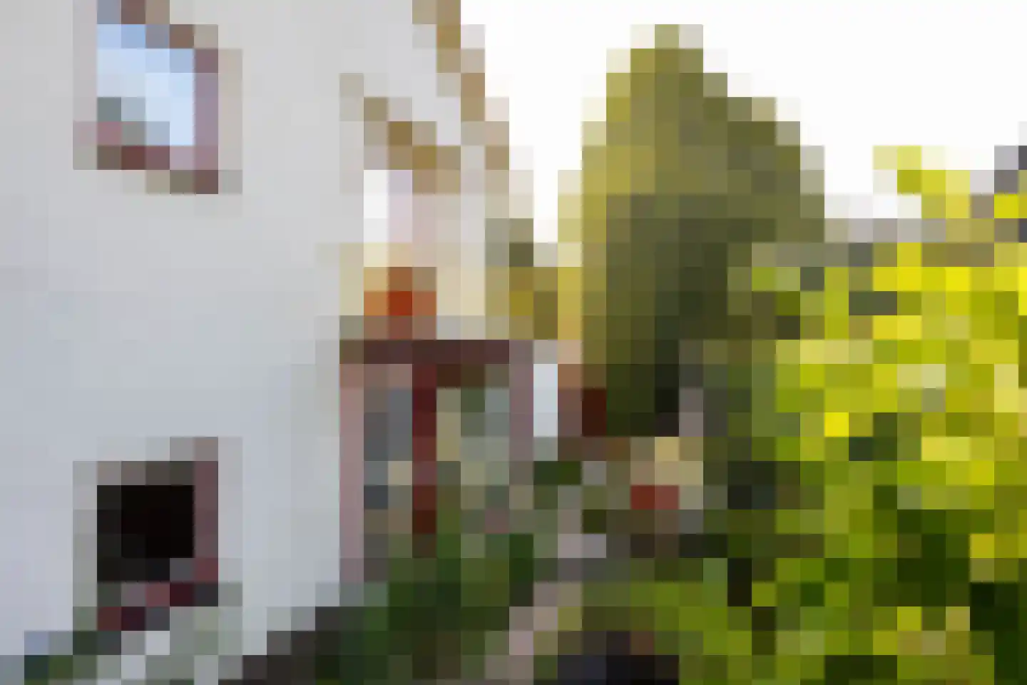 Dr. Lovinklaan 32 Alphen aan den Rijn thumbnail 43