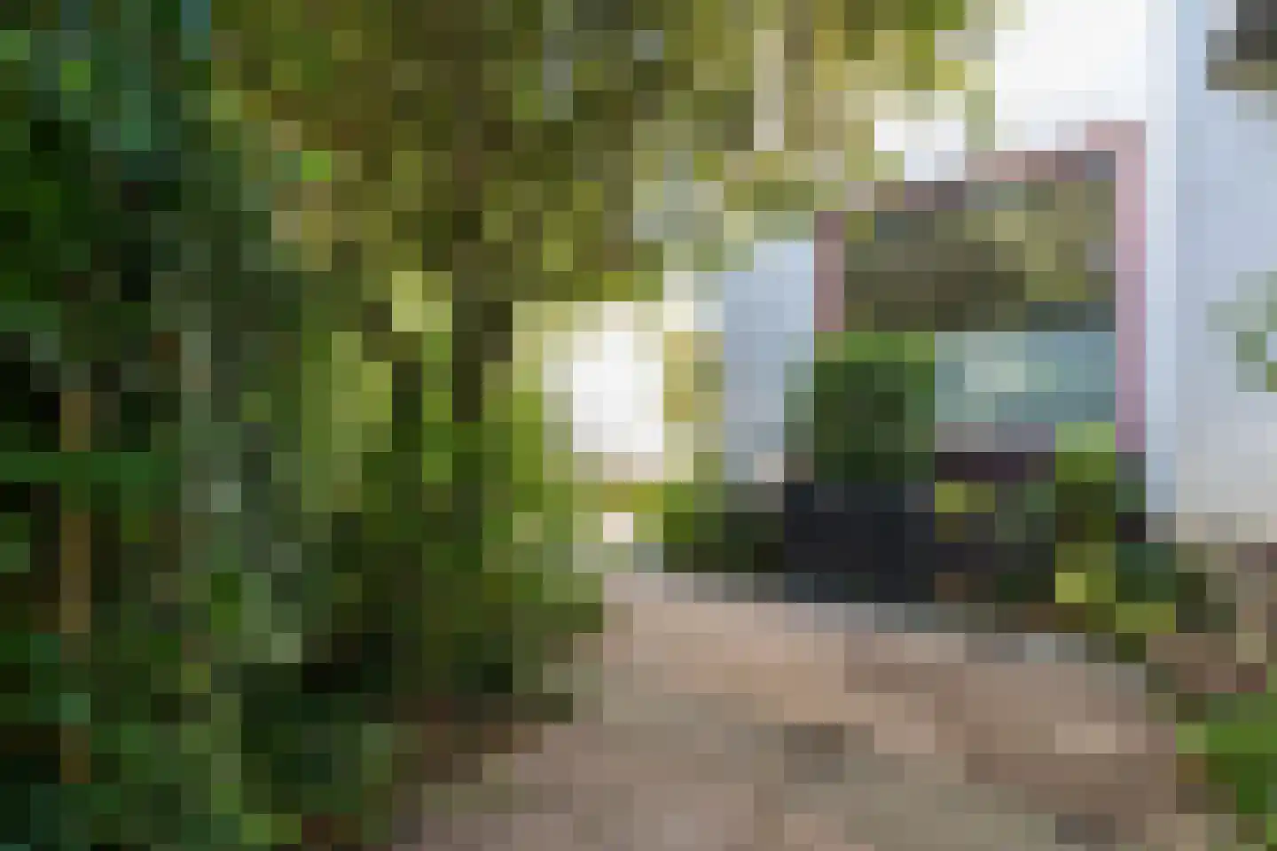 Dr. Lovinklaan 32 Alphen aan den Rijn thumbnail 44