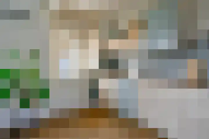 Dr. Lovinkstraat 23 Middenmeer thumbnail 10