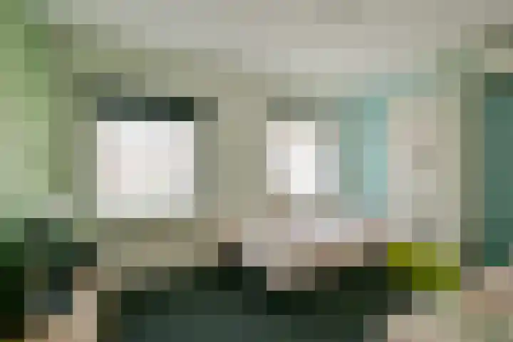 Dr. Lovinkstraat 23 Middenmeer thumbnail 19