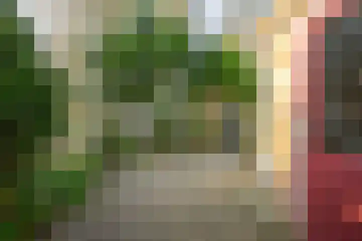 Dr. Lovinkstraat 23 Middenmeer thumbnail 27
