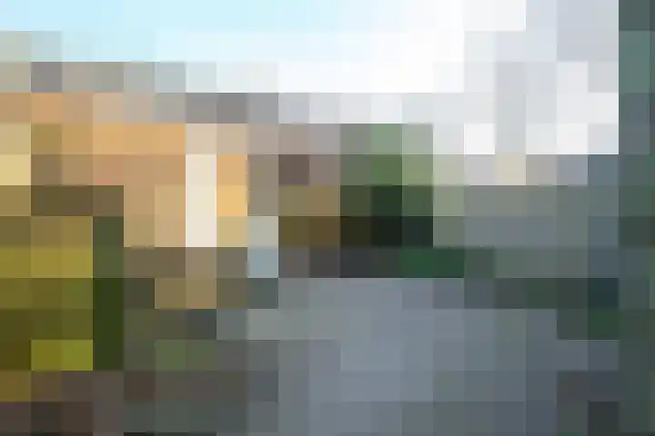 Dr. Lovinkstraat 23 Middenmeer thumbnail 28