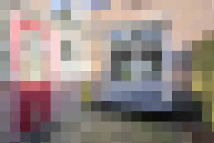Dr. Lovinkstraat 23 Middenmeer thumbnail 29