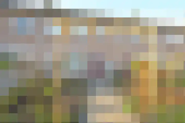 Dr. Lovinkstraat 23 Middenmeer thumbnail 32