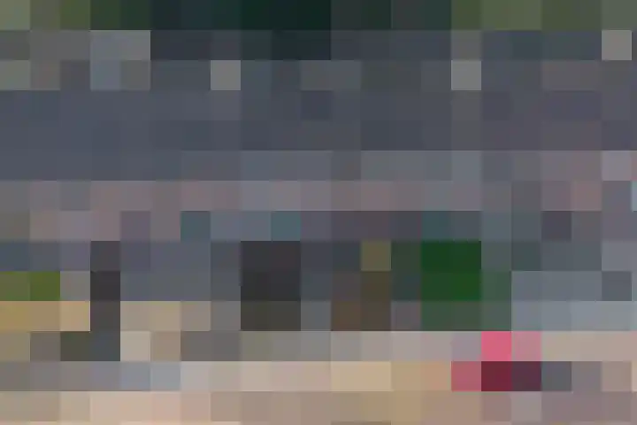 Dr. Lovinkstraat 23 Middenmeer thumbnail 37