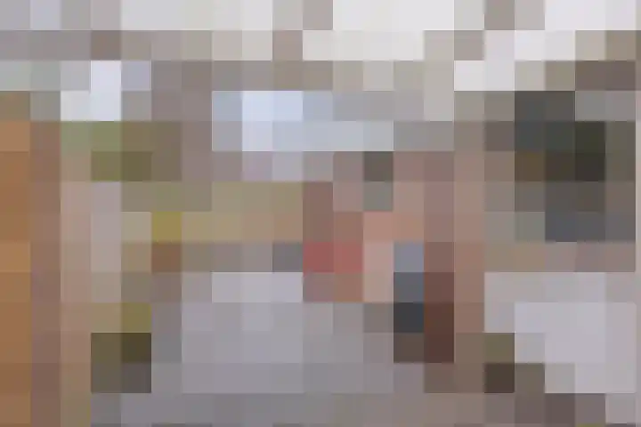 Dr. Lovinkstraat 27 Middenmeer thumbnail 31