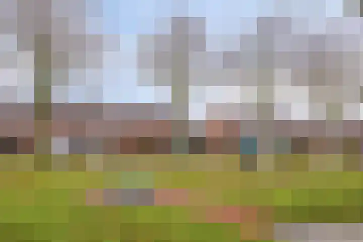 Dr. Lovinkstraat 27 Middenmeer thumbnail 34