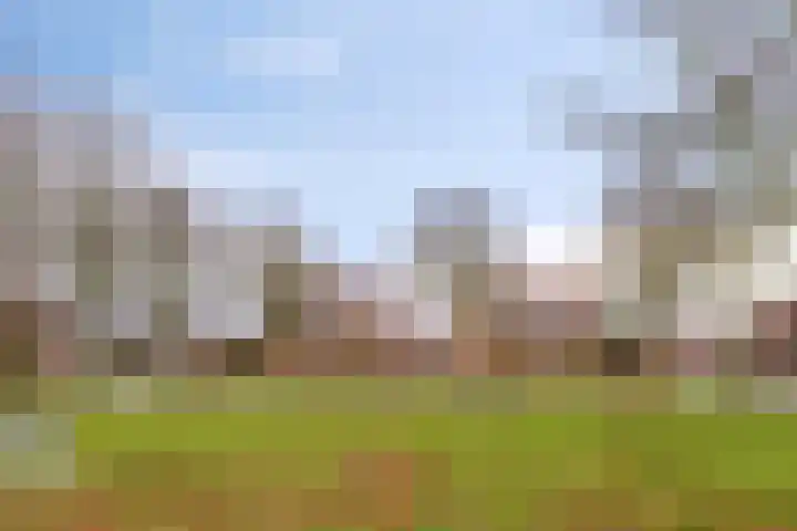Dr. Lovinkstraat 27 Middenmeer thumbnail 35