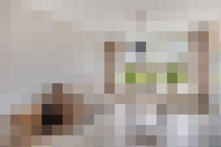 Dr. Lovinkstraat 27 Middenmeer thumbnail 9