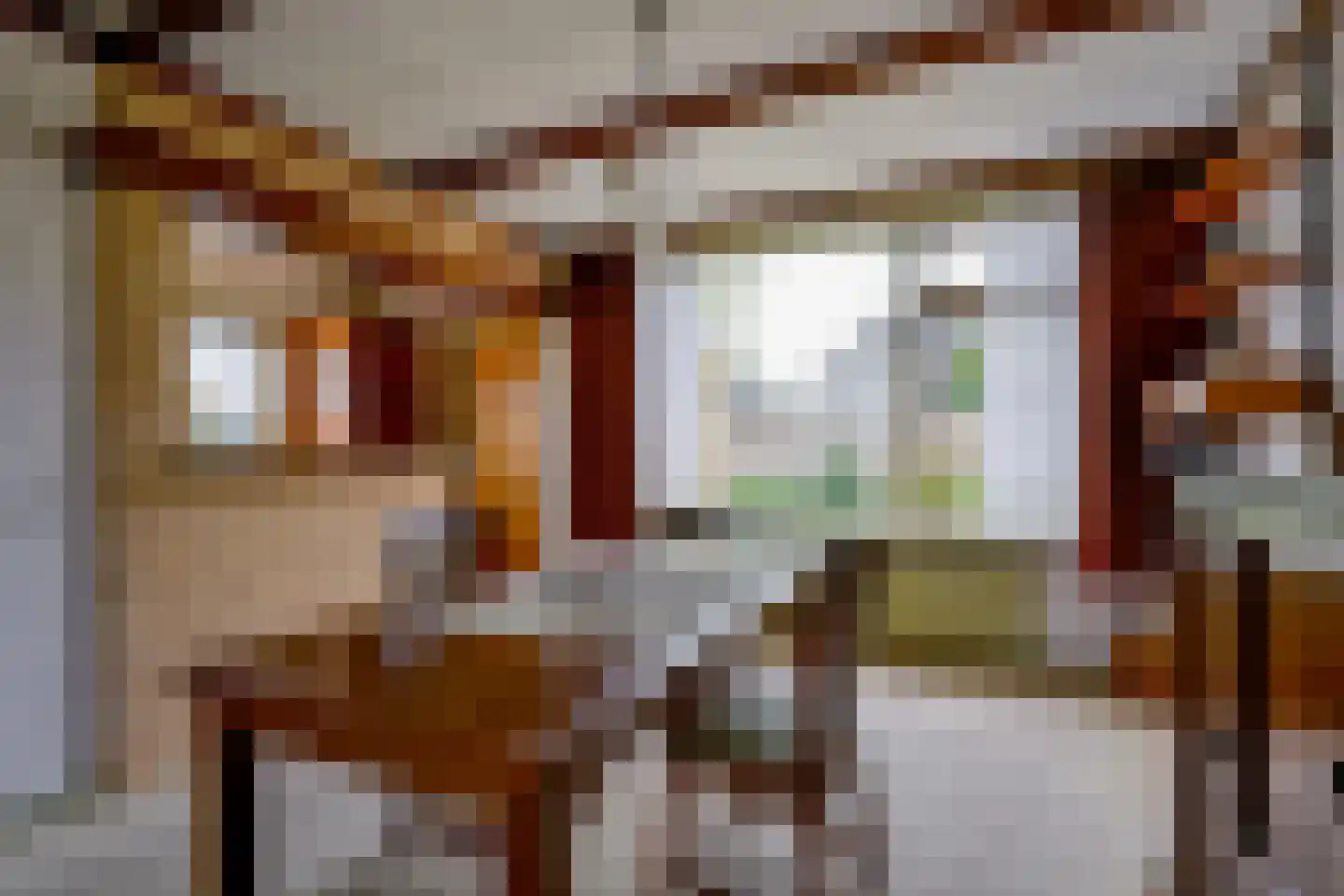 Dr. Lovinkstraat 75 Middenmeer thumbnail 10