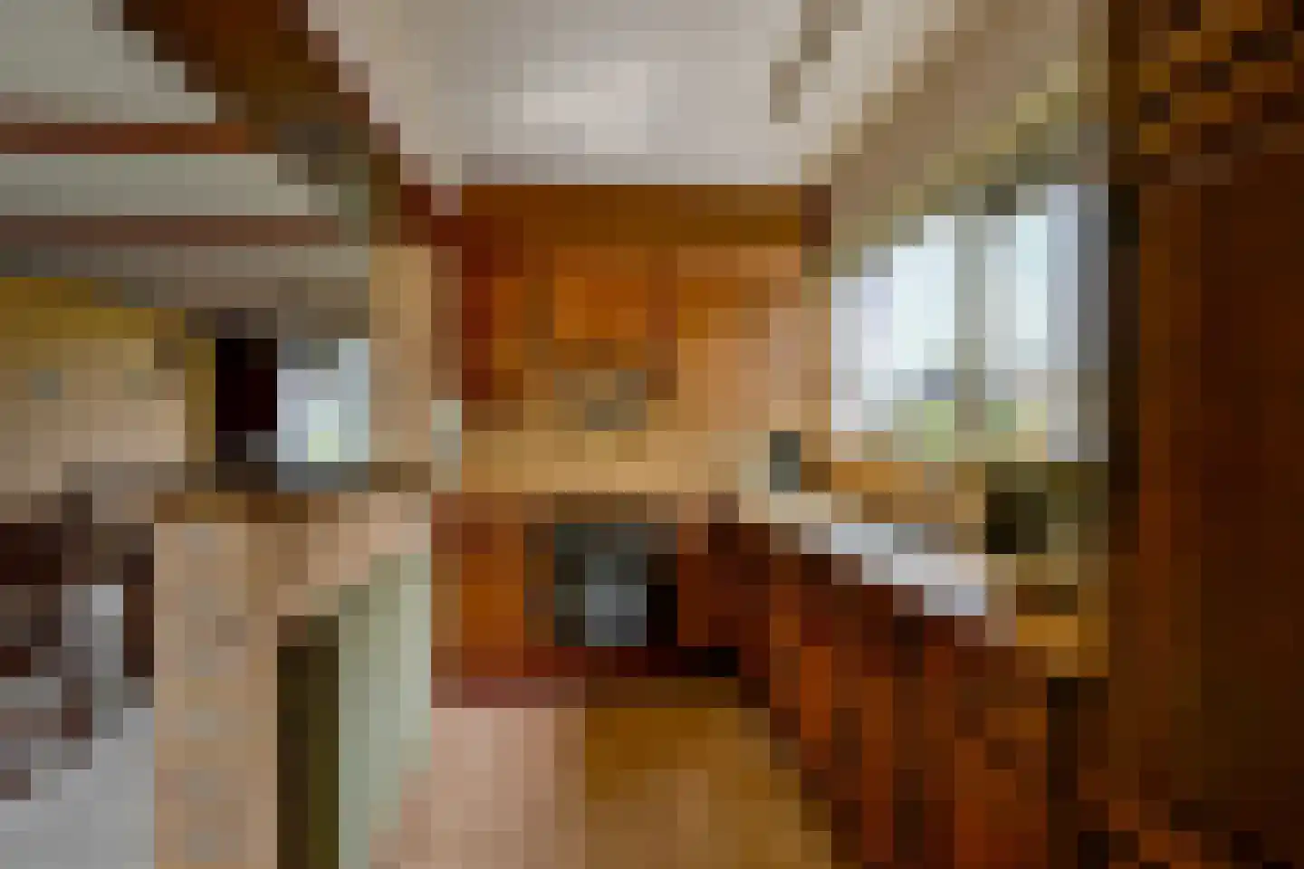 Dr. Lovinkstraat 75 Middenmeer thumbnail 13