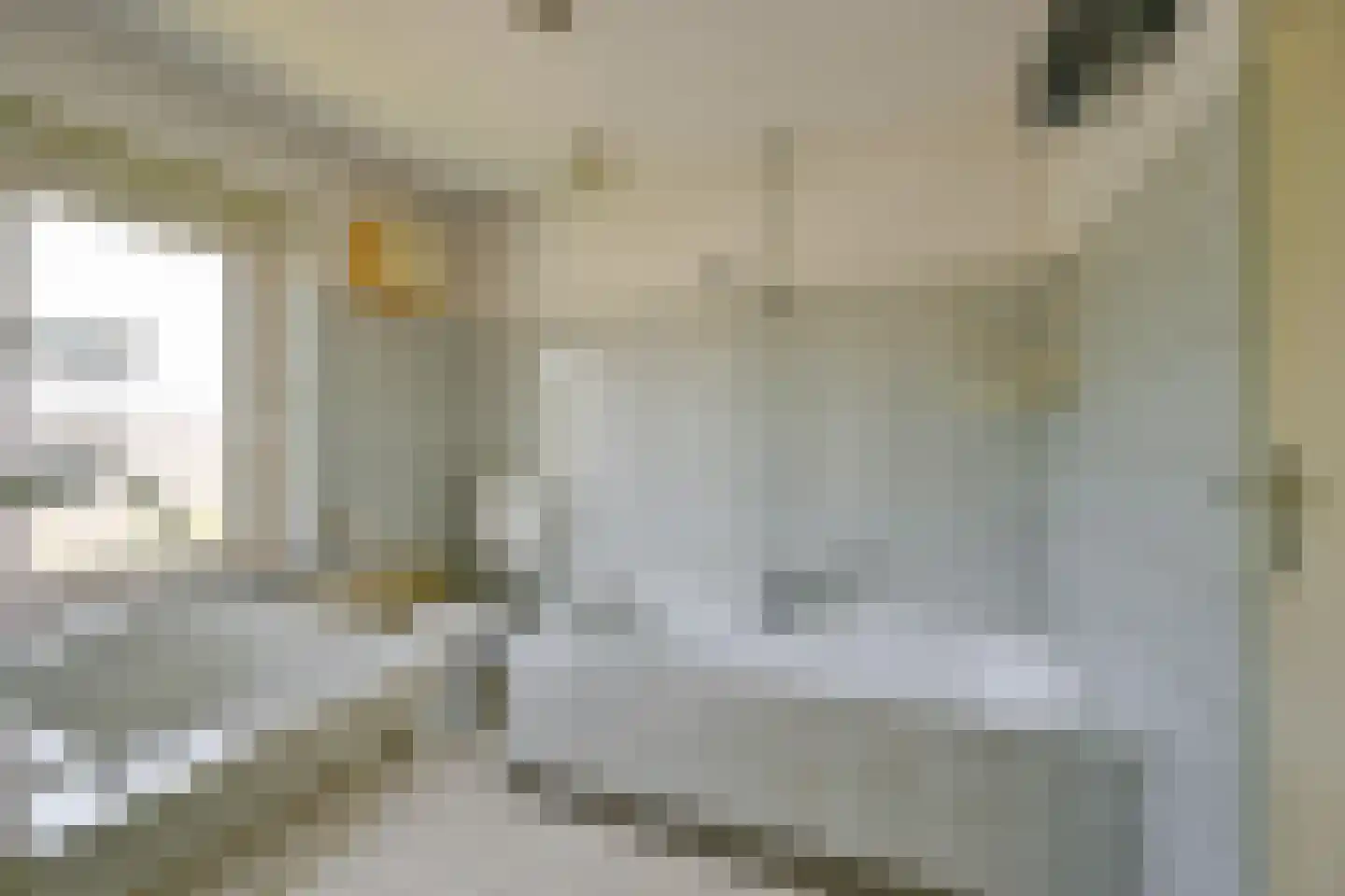 Dr. Lovinkstraat 75 Middenmeer thumbnail 23