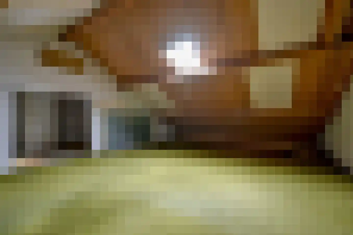 Dr. Lovinkstraat 75 Middenmeer thumbnail 30