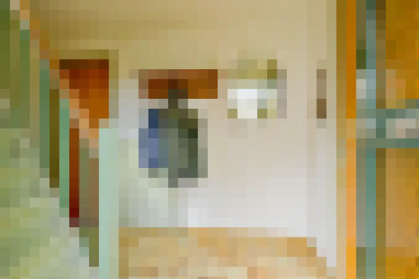 Dr. Lovinkstraat 75 Middenmeer thumbnail 6