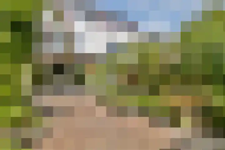 Dr. M.L. Kingstraat 2 F Landsmeer thumbnail 10