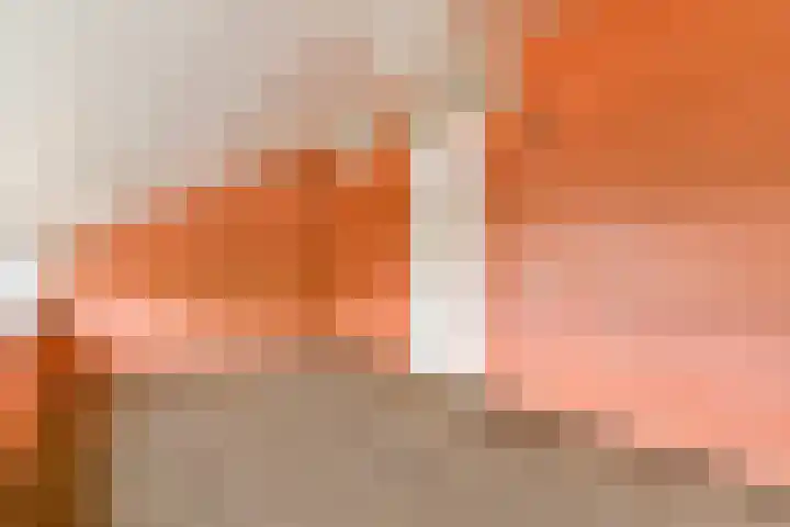 Dr. M.L. Kingstraat 2 F Landsmeer thumbnail 24