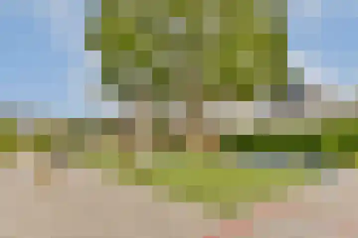Dr. M.L. Kingstraat 2 F Landsmeer thumbnail 4