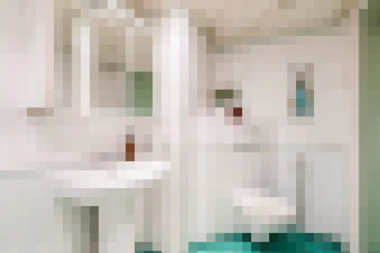 Dr. M.L. Kingstraat 52 Landsmeer thumbnail 31