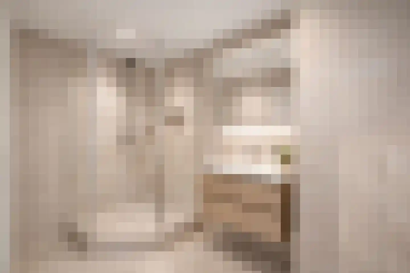 Dr. M.L. Kingstraat 52 Landsmeer thumbnail 32