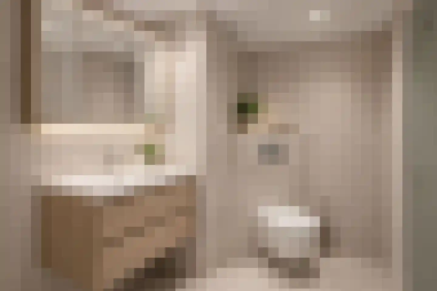 Dr. M.L. Kingstraat 52 Landsmeer thumbnail 33