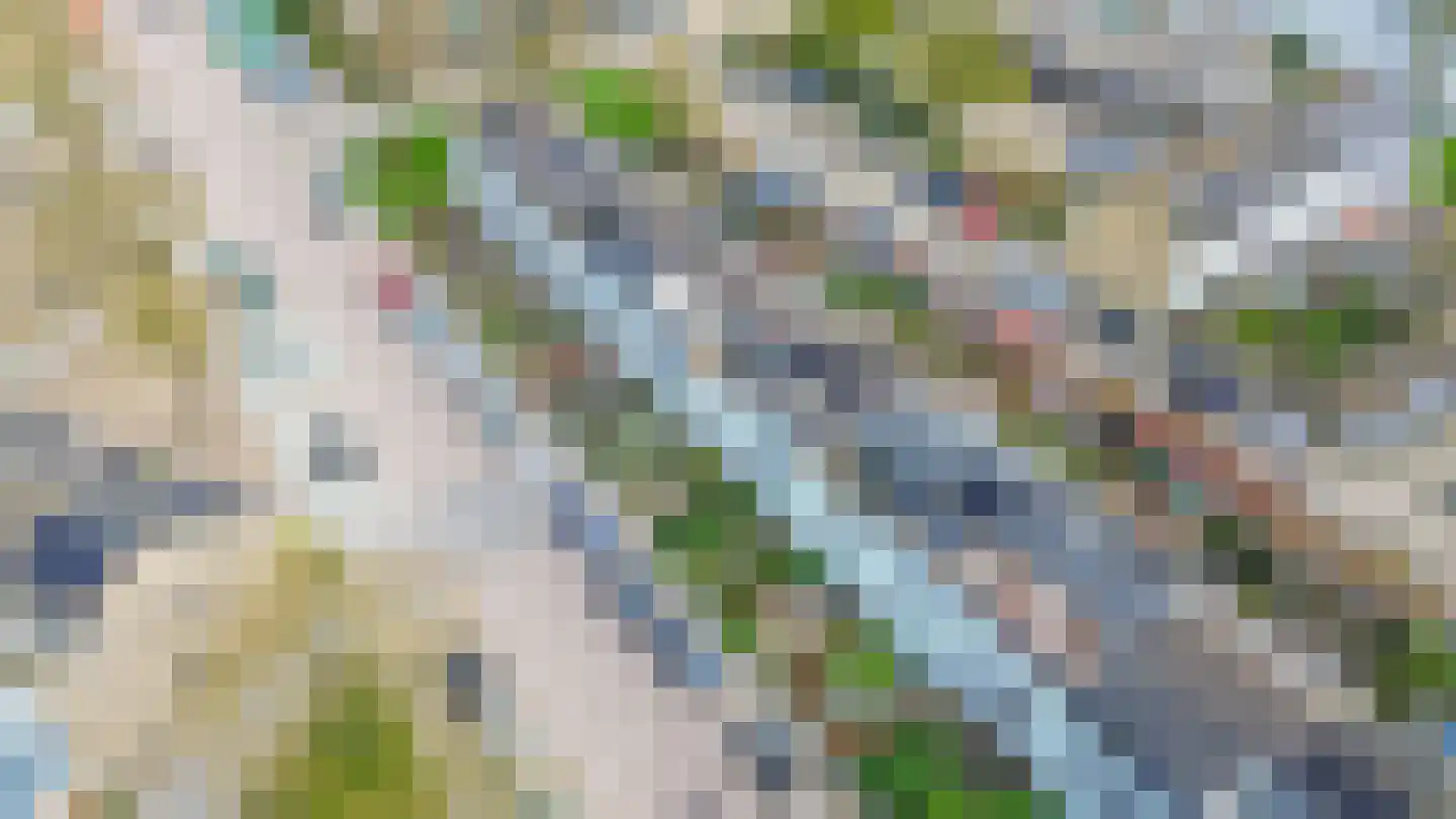 Dr. M.L. Kingstraat 52 Landsmeer thumbnail 7