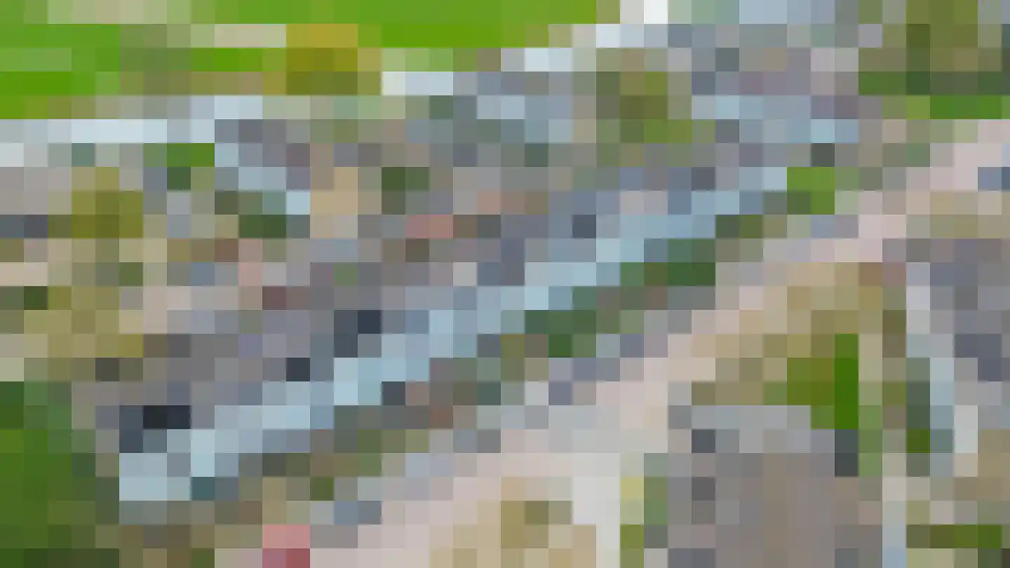 Dr. M.L. Kingstraat 52 Landsmeer thumbnail 8
