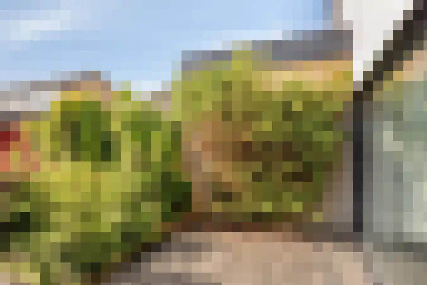 Dr. M.L. Kingstraat 58 Landsmeer thumbnail 35