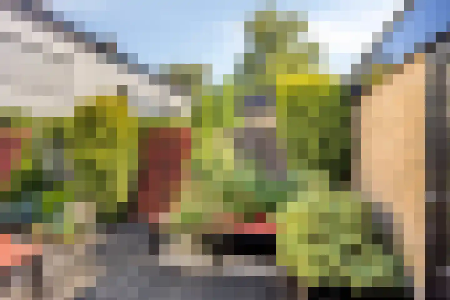 Dr. M.L. Kingstraat 58 Landsmeer thumbnail 40