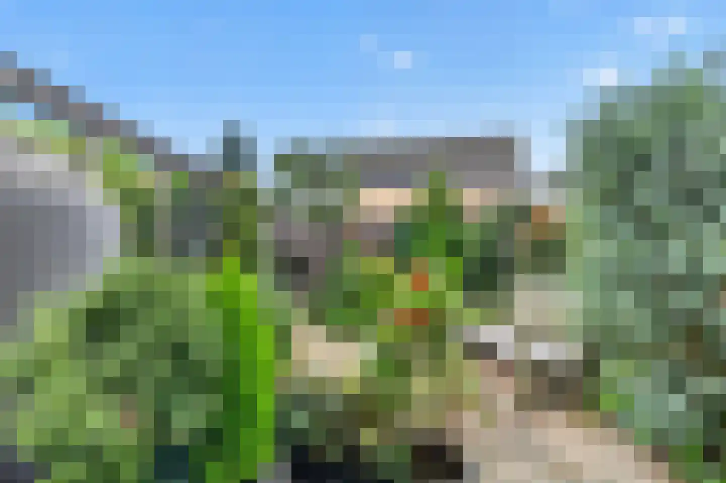 Dr. M.L. Kingstraat 61 Landsmeer thumbnail 15