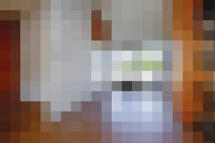 Dr. M.L. Kingstraat 64 Landsmeer thumbnail 39