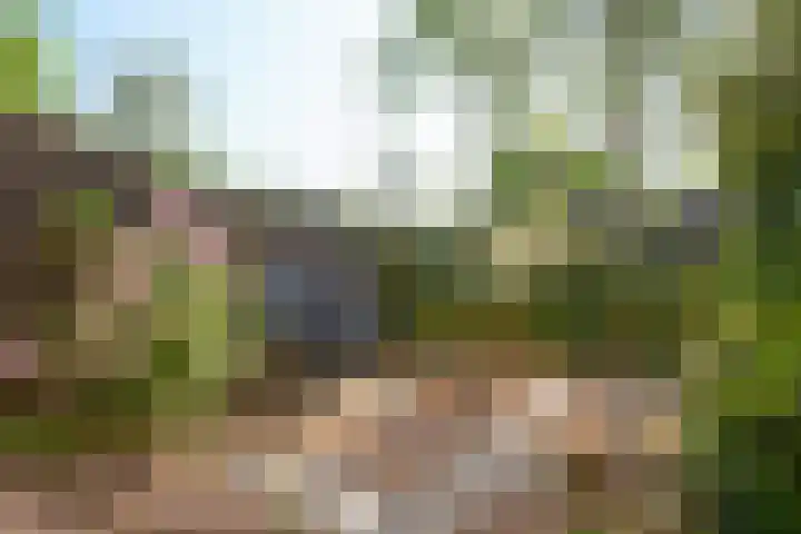 Dr. M.L. Kingstraat 64 Landsmeer thumbnail 47