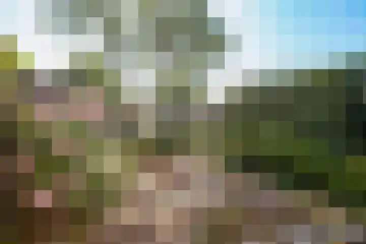 Dr. M.L. Kingstraat 64 Landsmeer thumbnail 48
