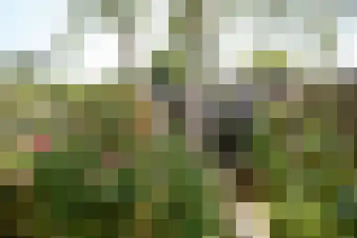 Dr. M.L. Kingstraat 64 Landsmeer thumbnail 49