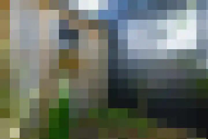 Dr. M.L. Kingstraat 64 Landsmeer thumbnail 50
