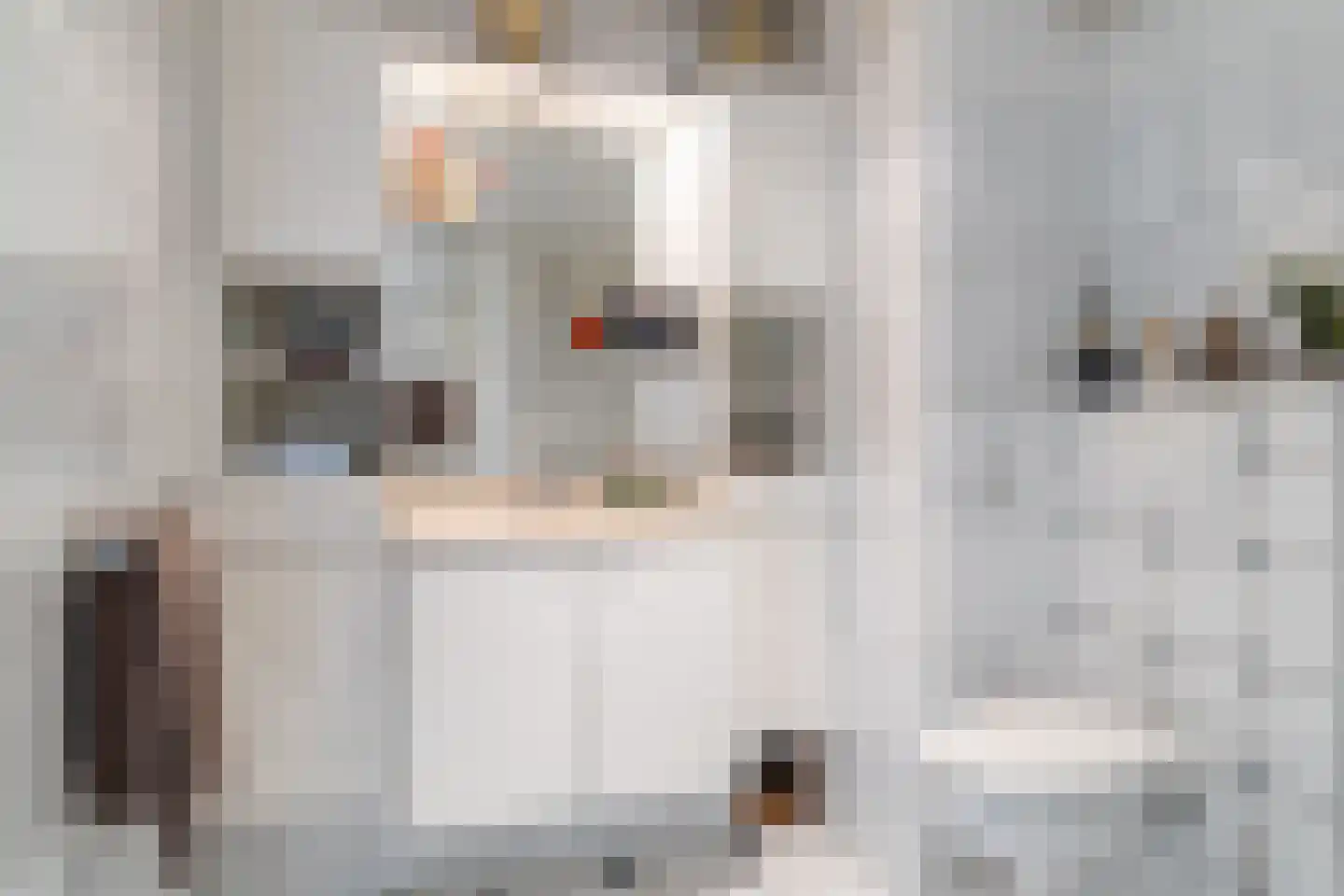 Dr. M.L. Kingstraat 73 Landsmeer thumbnail 25