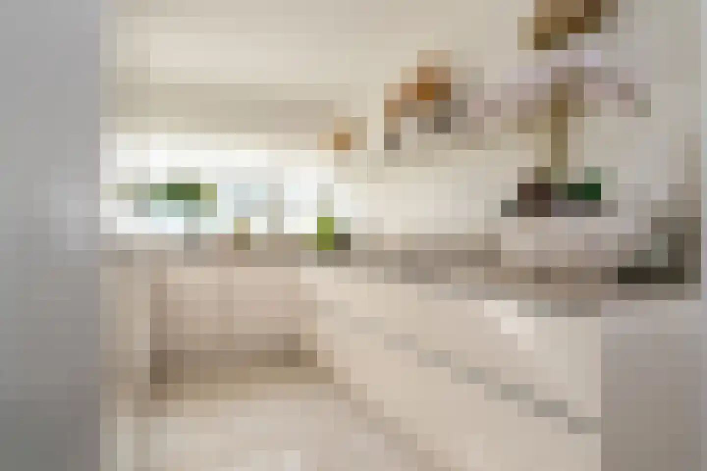 Dr. M.L. Kingstraat 73 Landsmeer thumbnail 4