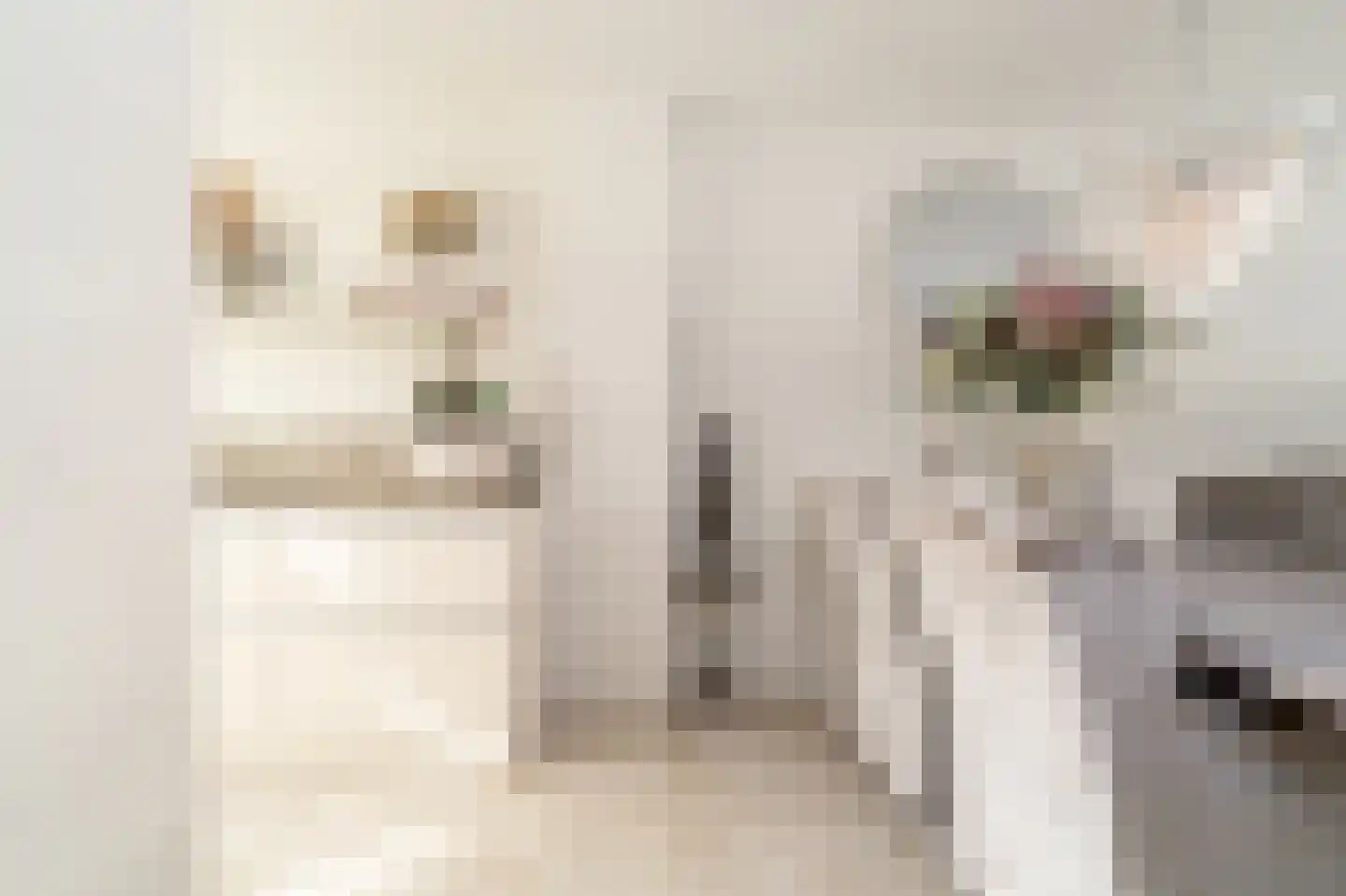 Dr. M.L. Kingstraat 73 Landsmeer thumbnail 8