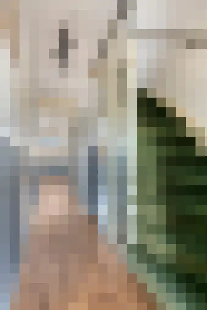 Dr. M.L. Kingstraat 93 Landsmeer thumbnail 20