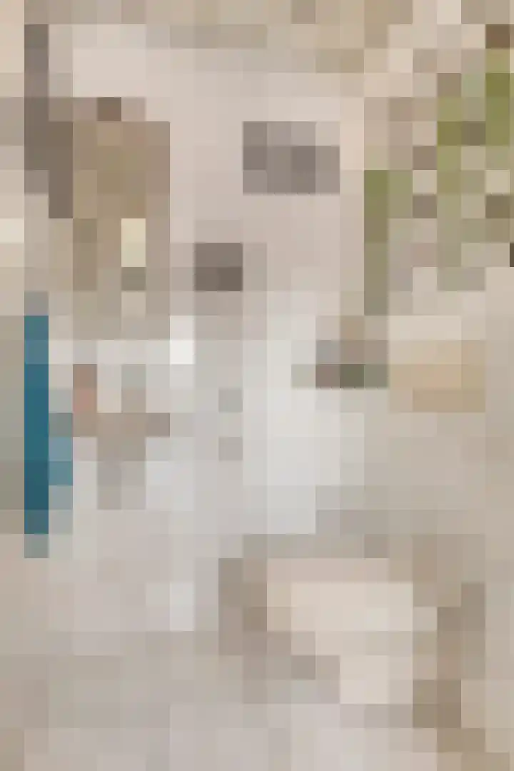 Dr. M.L. Kingstraat 93 Landsmeer thumbnail 33