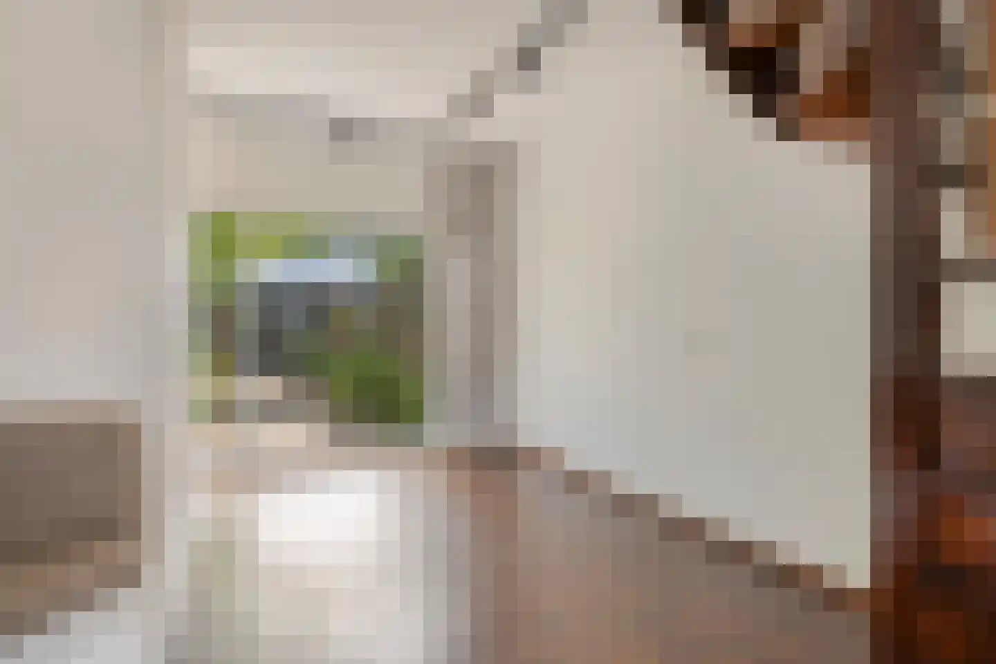 Dr. M.L. Kingstraat 94 Landsmeer thumbnail 9