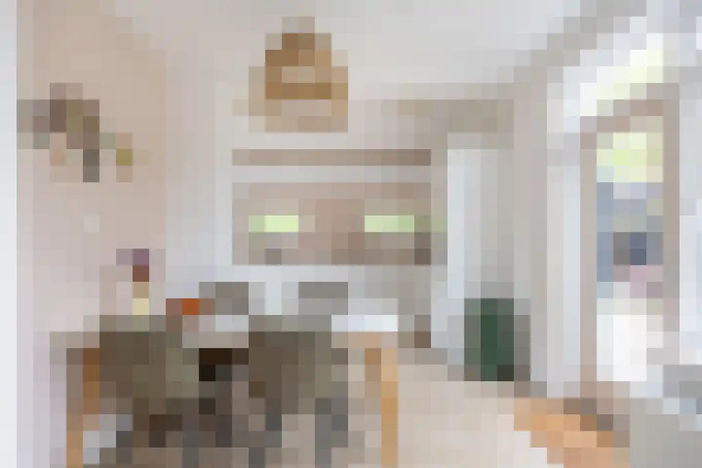 Dr.M. Noordewierstraat 33 Baflo thumbnail 12