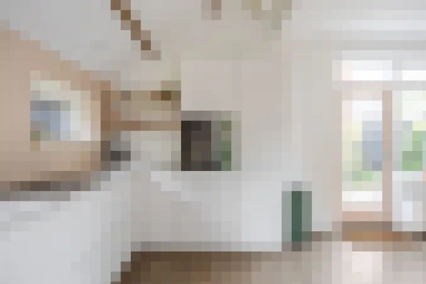 Dr.M. Noordewierstraat 33 Baflo thumbnail 14