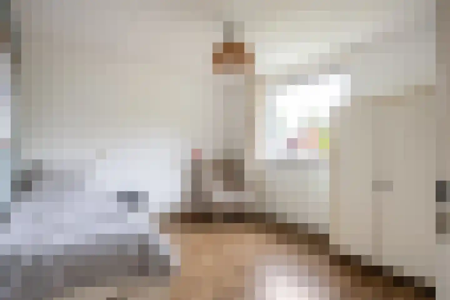 Dr.M. Noordewierstraat 33 Baflo thumbnail 18