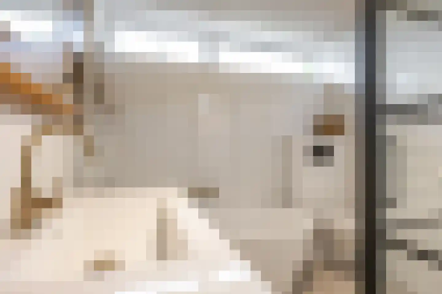 Dr.M. Noordewierstraat 33 Baflo thumbnail 19