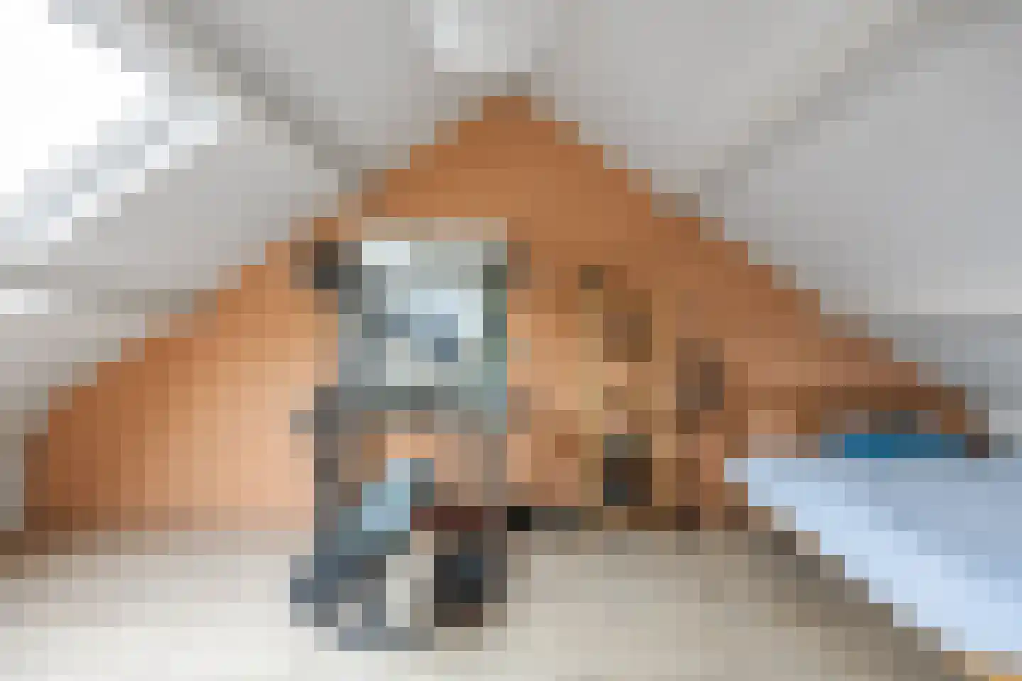 Dr.M. Noordewierstraat 33 Baflo thumbnail 21