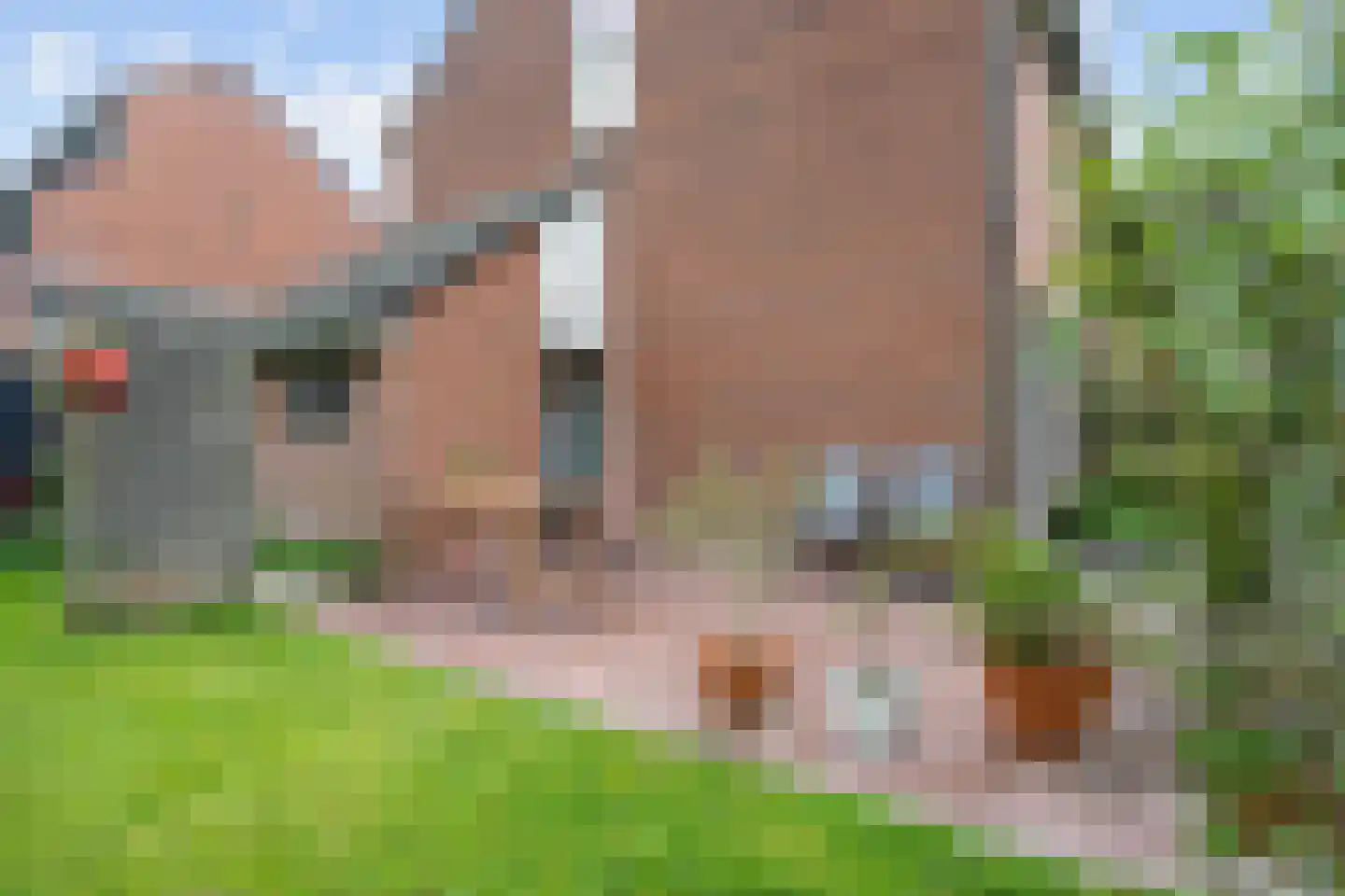 Dr.M. Noordewierstraat 33 Baflo thumbnail 23