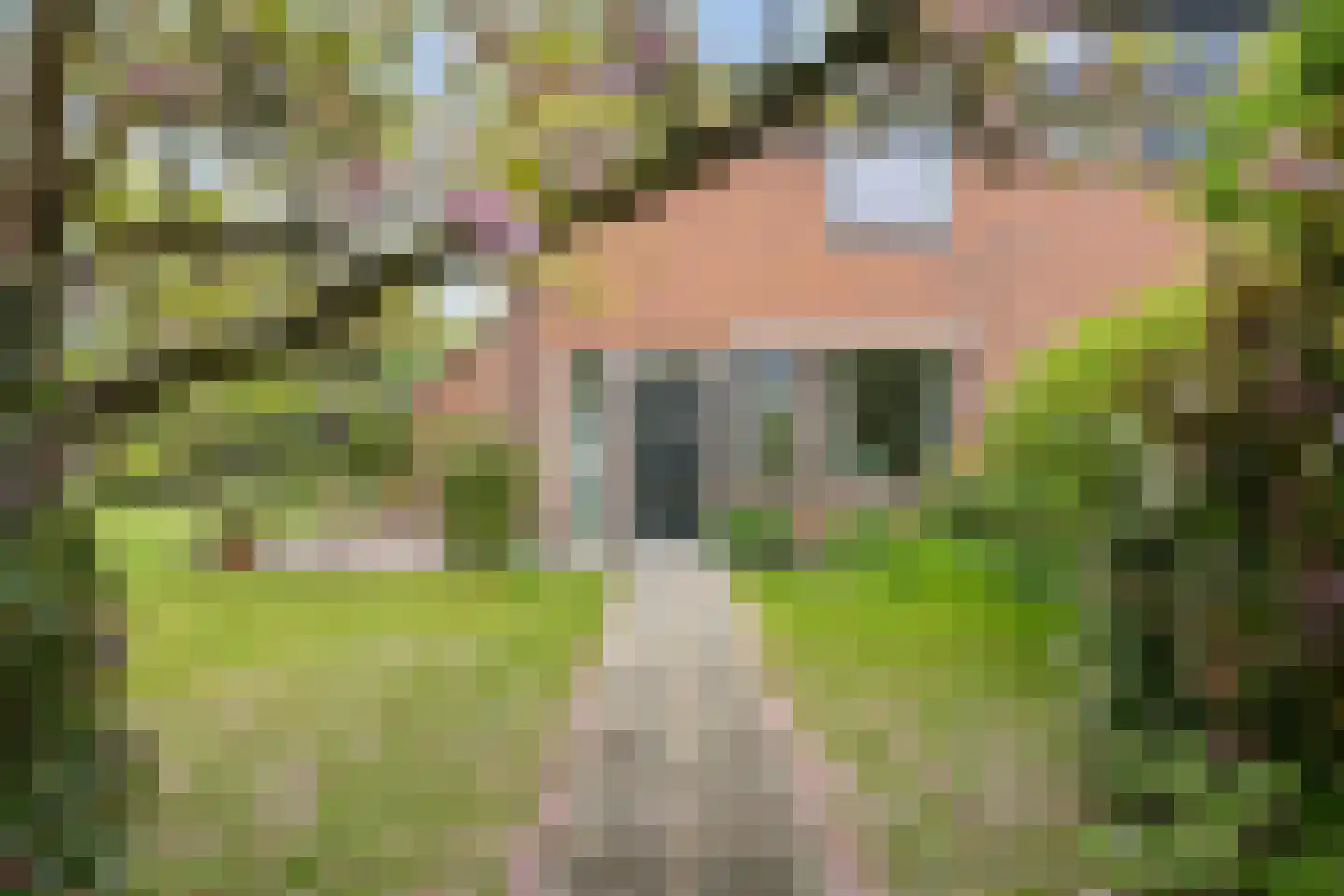 Dr.M. Noordewierstraat 33 Baflo thumbnail 5
