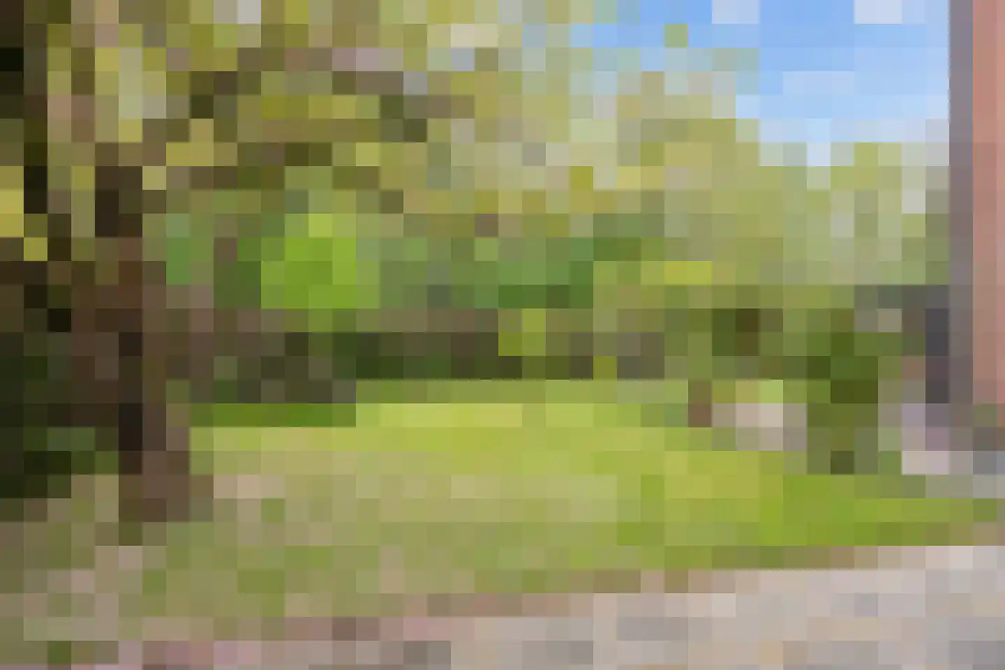 Dr.M. Noordewierstraat 33 Baflo thumbnail 6