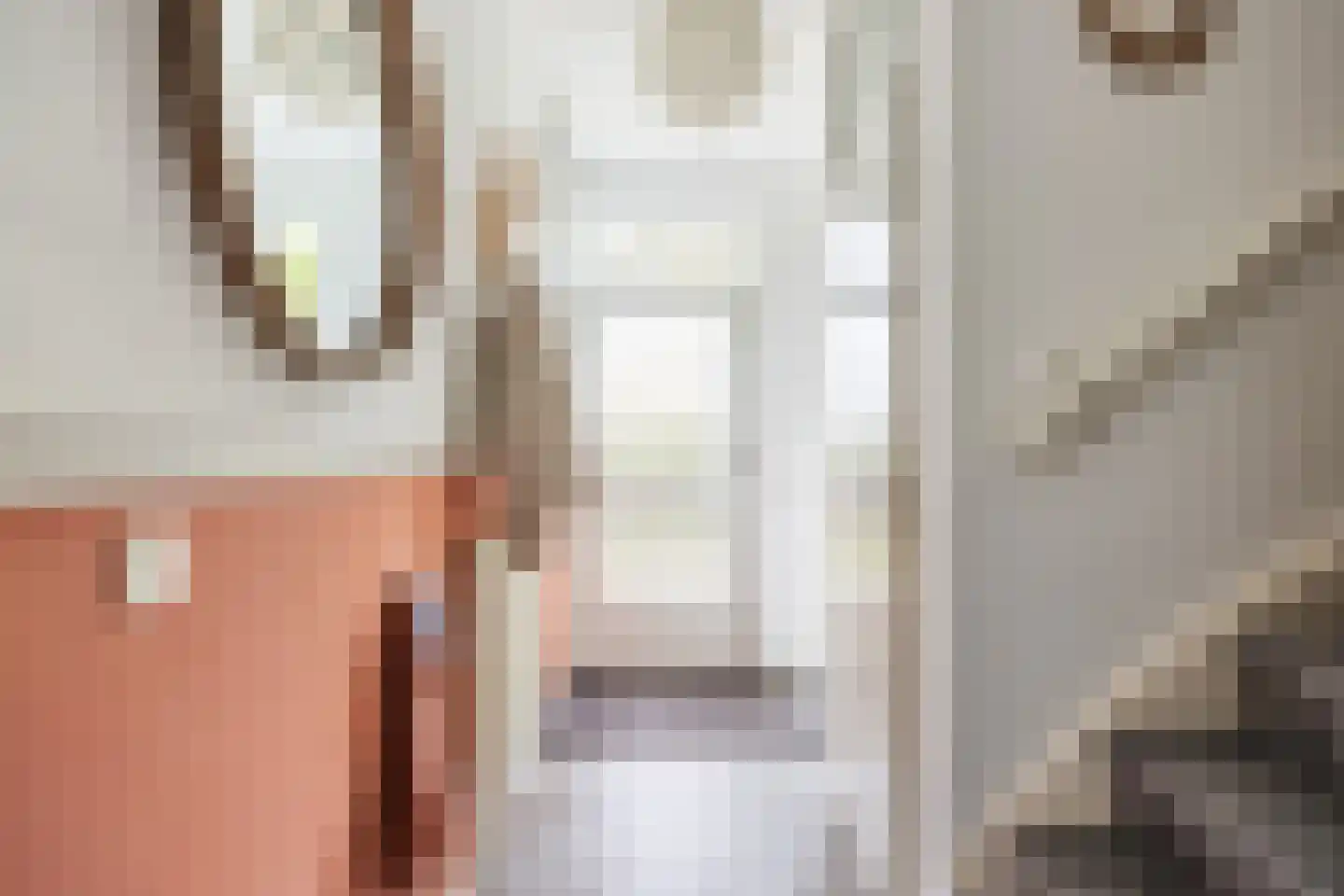 Dr.M. Noordewierstraat 33 Baflo thumbnail 7
